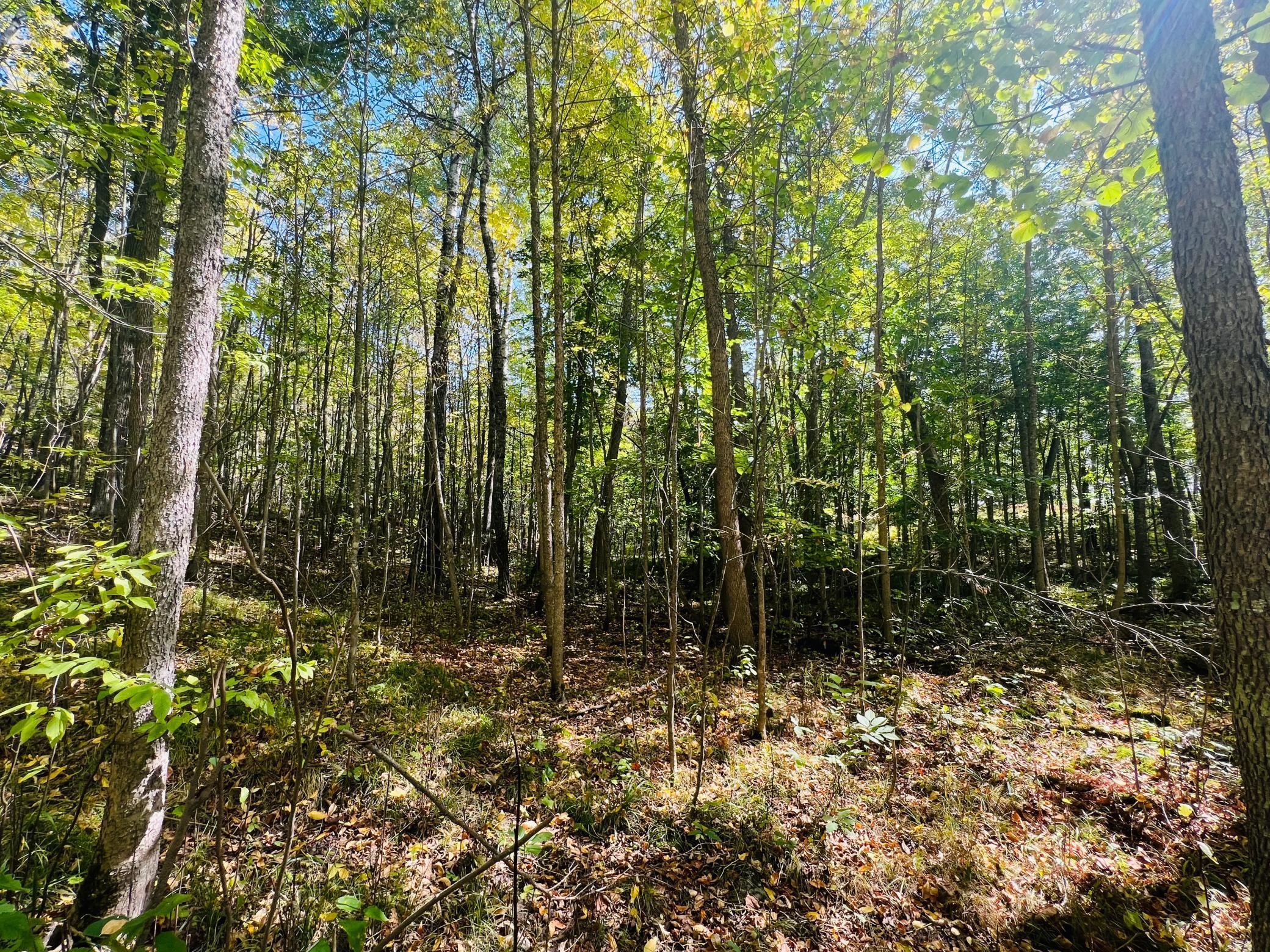TBD Wolf Creek Road, Bovey, Minnesota image 16