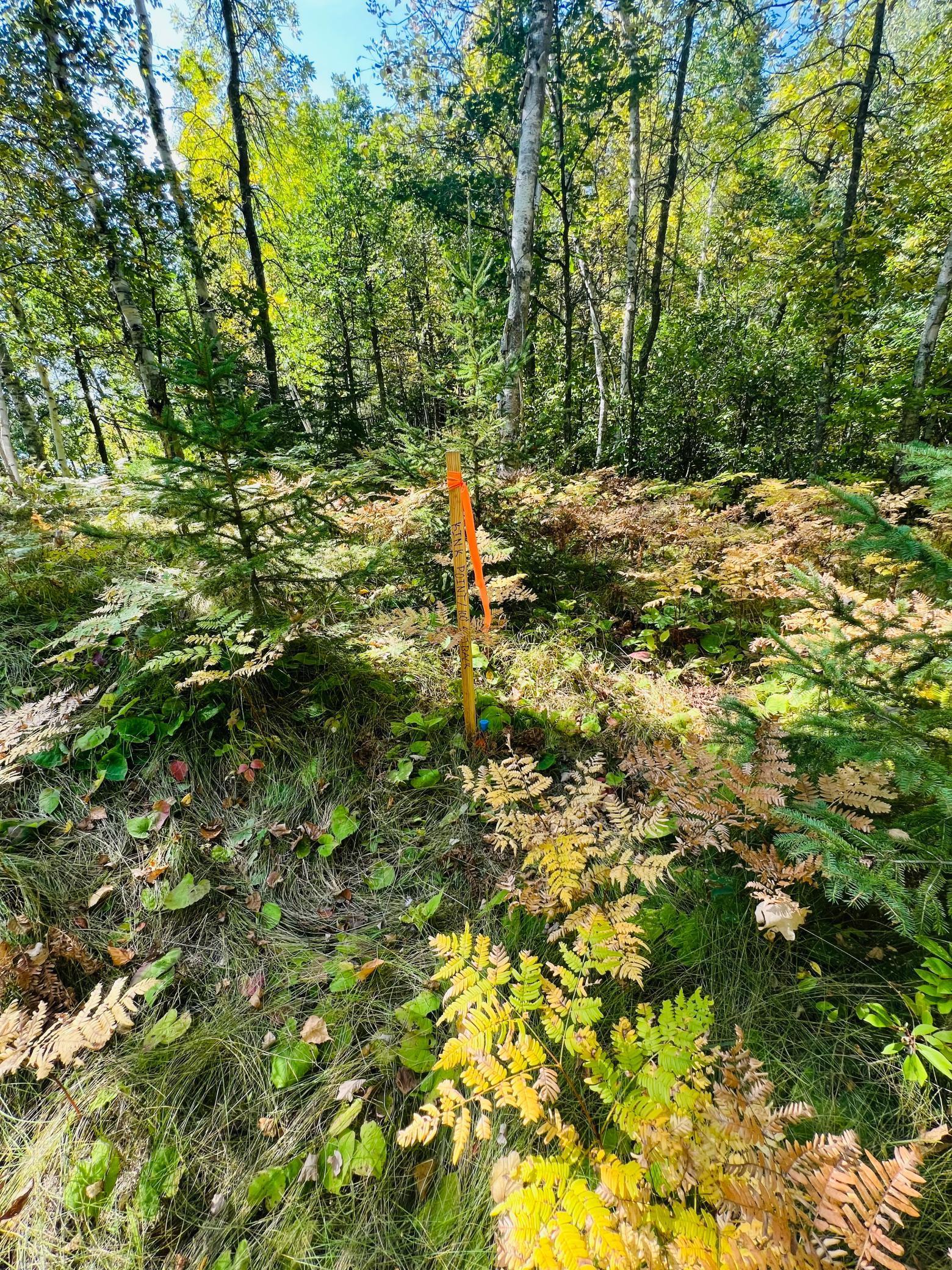 TBD Wolf Creek Road, Bovey, Minnesota image 18