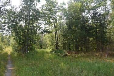 Vacant Land For Sale - 15690 330th Street<br/> Aitkin County, Mcgregor, MN 55760