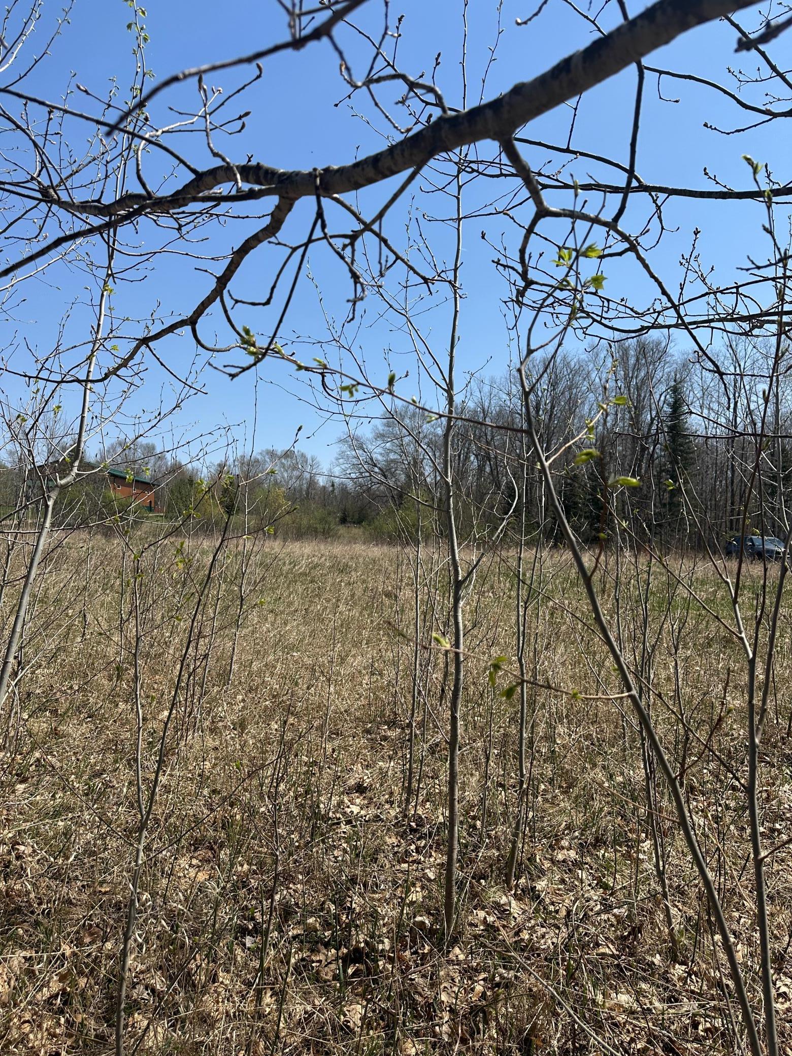 Lot 11 Block 1 Opahs Landing, Aitkin, Minnesota image 5