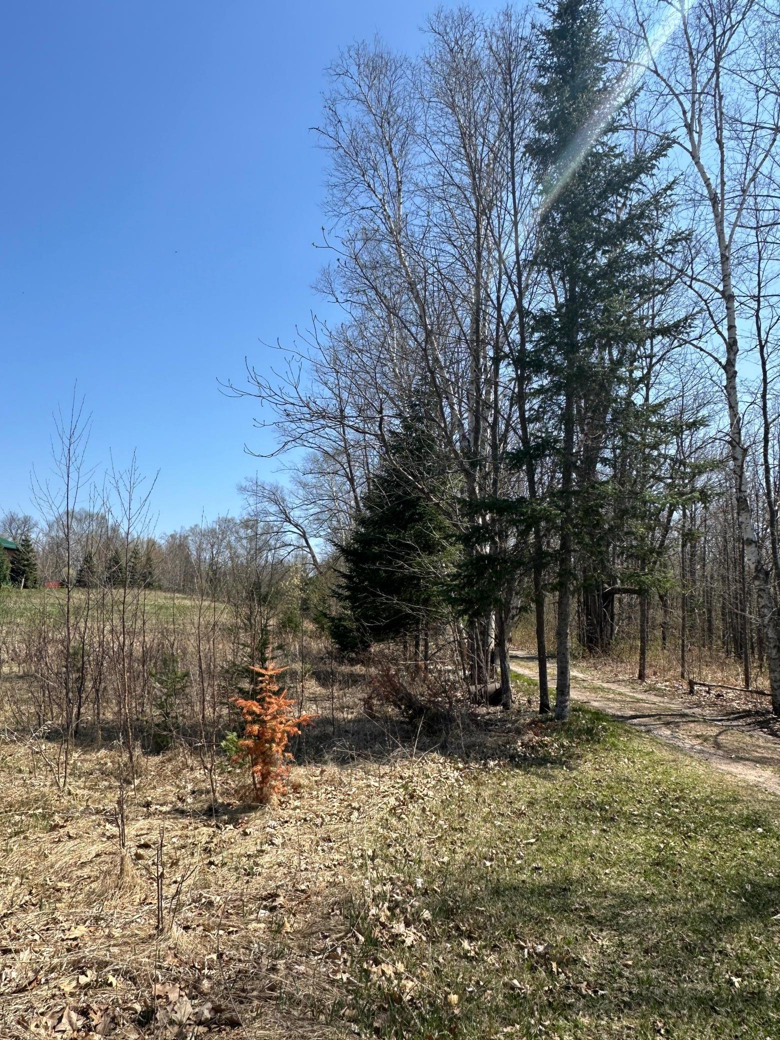 Lot 11 Block 1 Opahs Landing, Aitkin, Minnesota image 8