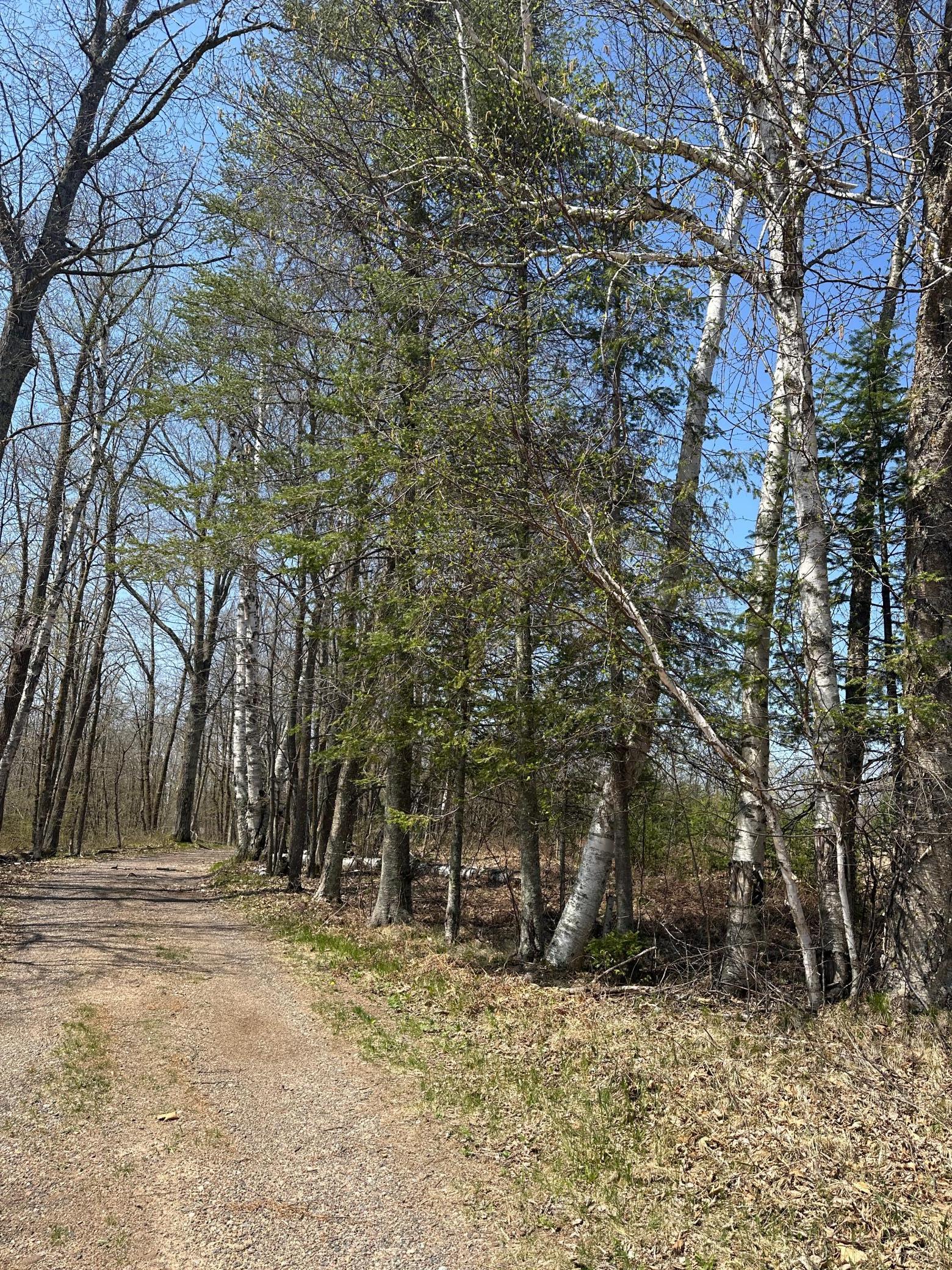 Lot 11 Block 1 Opahs Landing, Aitkin, Minnesota image 9
