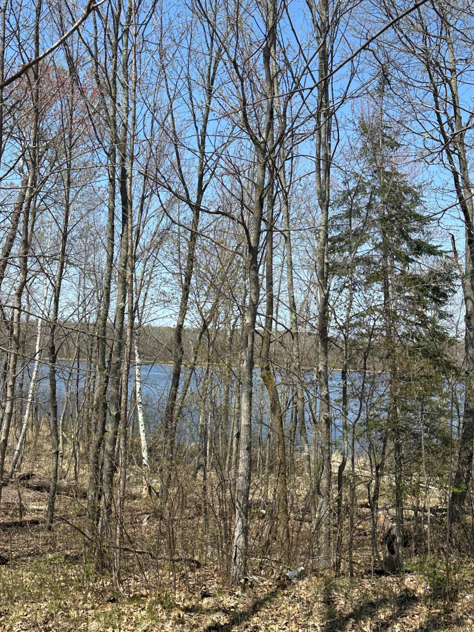 Lot 11 Block 1 Opahs Landing, Aitkin, Minnesota image 6