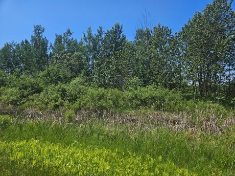 Vacant Land For Sale - XXX County Road 32<br/> Aitkin, MN 56431