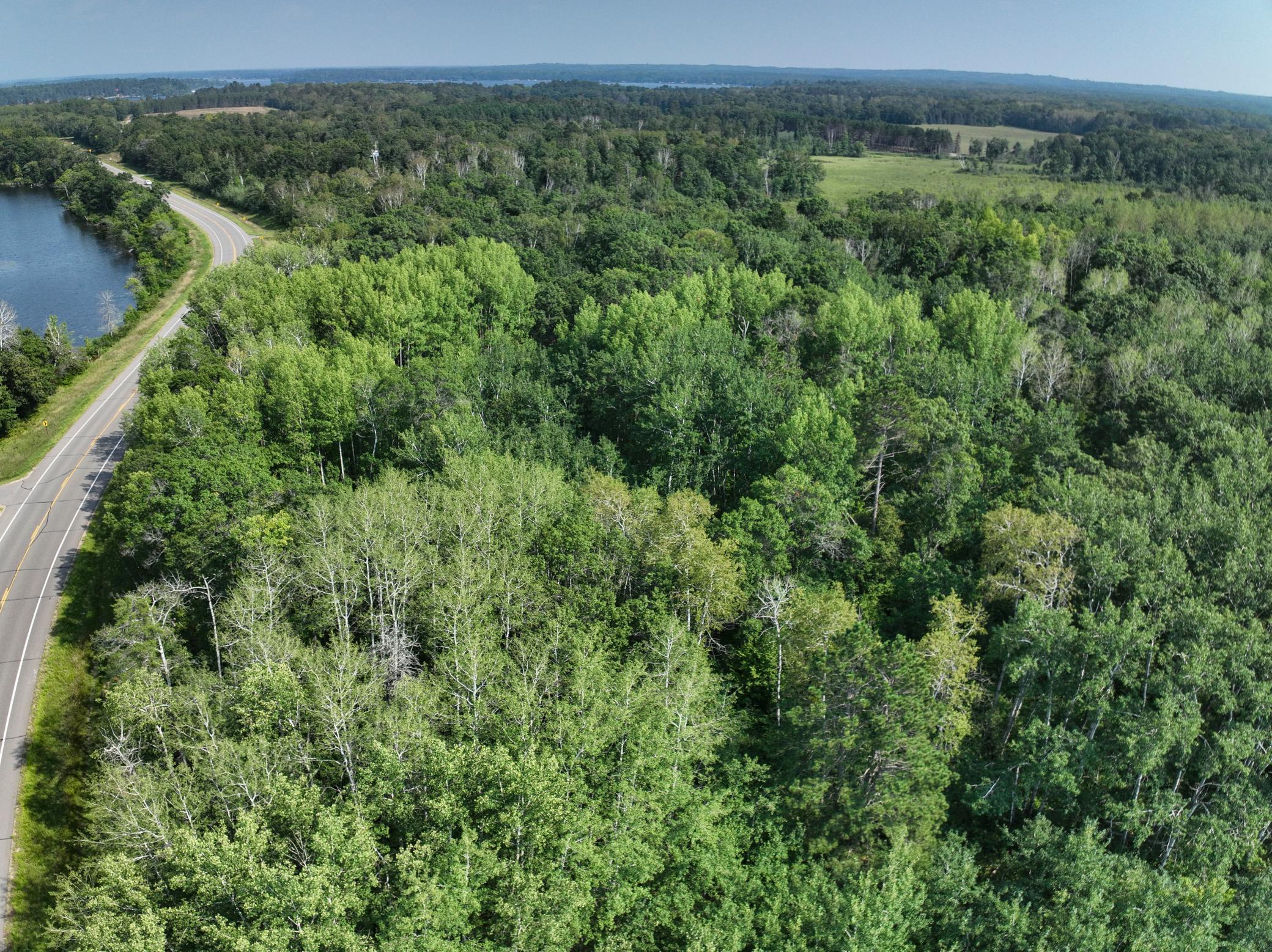 XXX County Road 15, Jenkins, Minnesota image 9