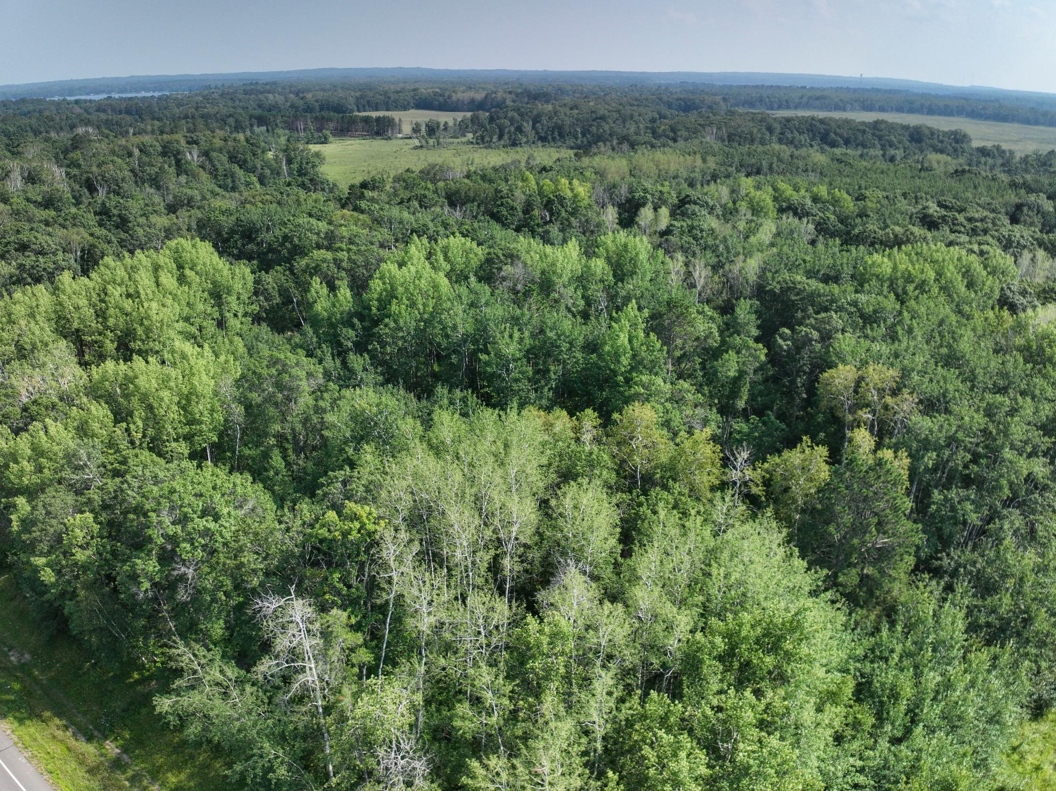 XXX County Road 15, Jenkins, Minnesota image 10