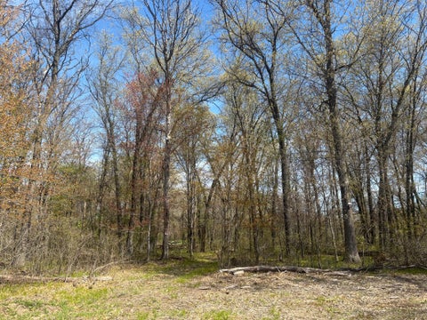 Vacant Land For Sale - TBD 151st Street<br/> Sherburne County, Princeton, MN 55371