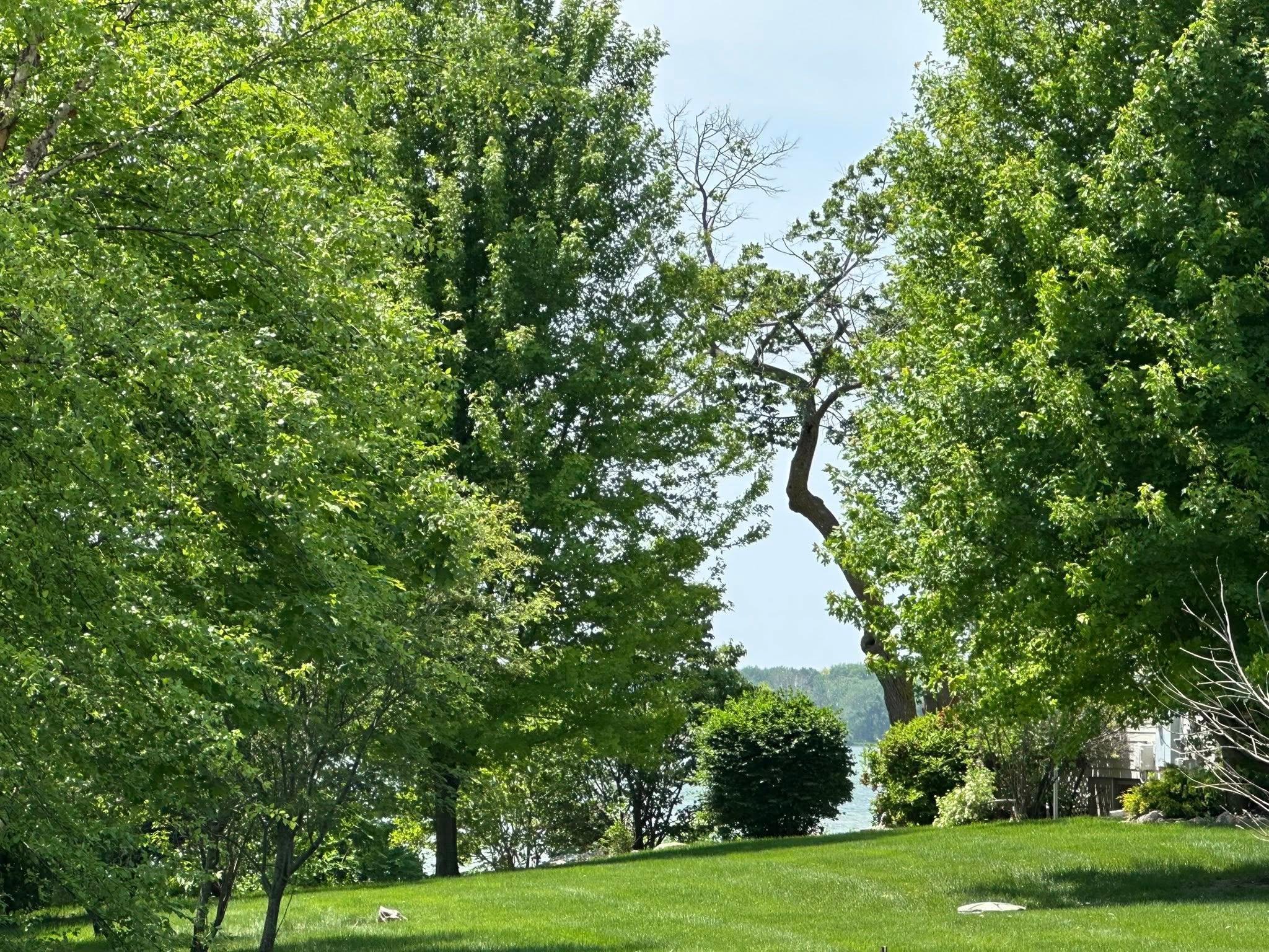 29172 Biehn Drive, Madison Lake, Minnesota image 3