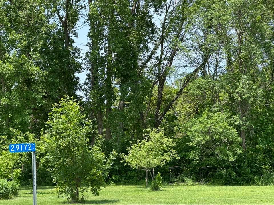 29172 Biehn Drive, Madison Lake, Minnesota image 1