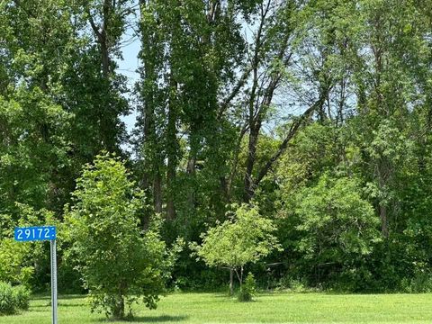 Vacant Land For Sale - 29172 Biehn Drive<br/> Madison Lake, MN 56063