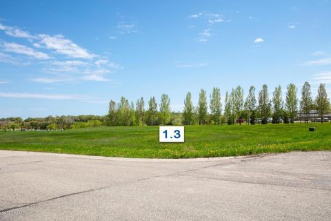 Vacant Land For Sale - 406 LOT1.3 5th Street<br/> Douglas County, Brandon, MN 56315