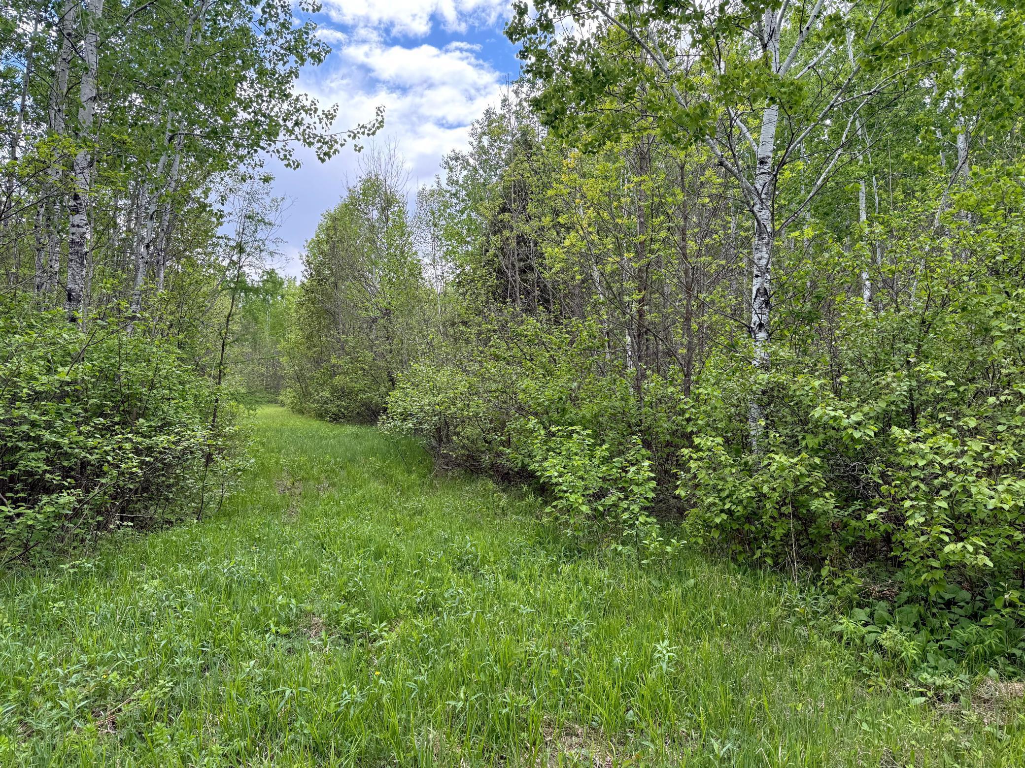 67241 State Hwy 65, Cook, Minnesota image 35