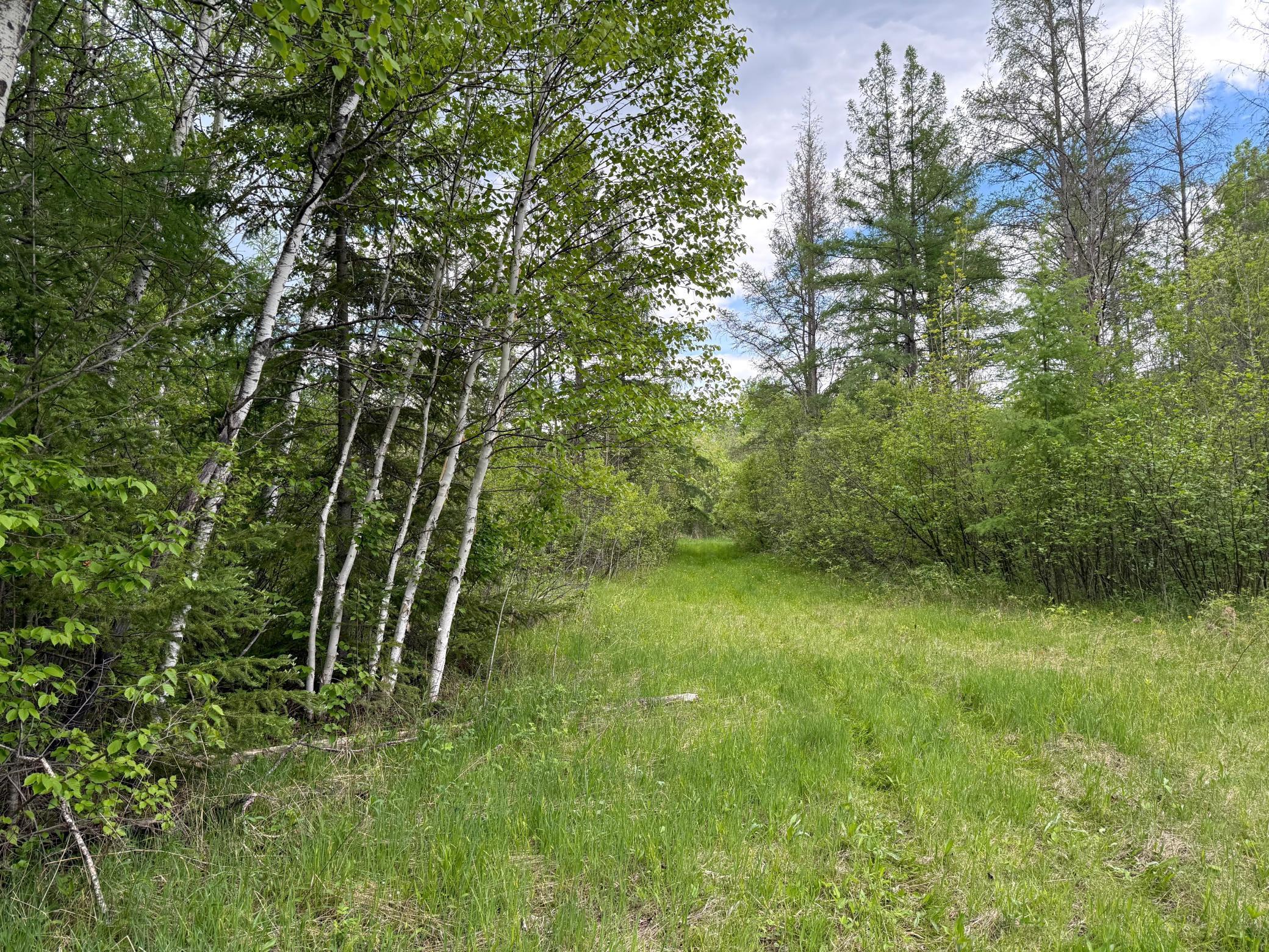 67241 State Hwy 65, Cook, Minnesota image 30