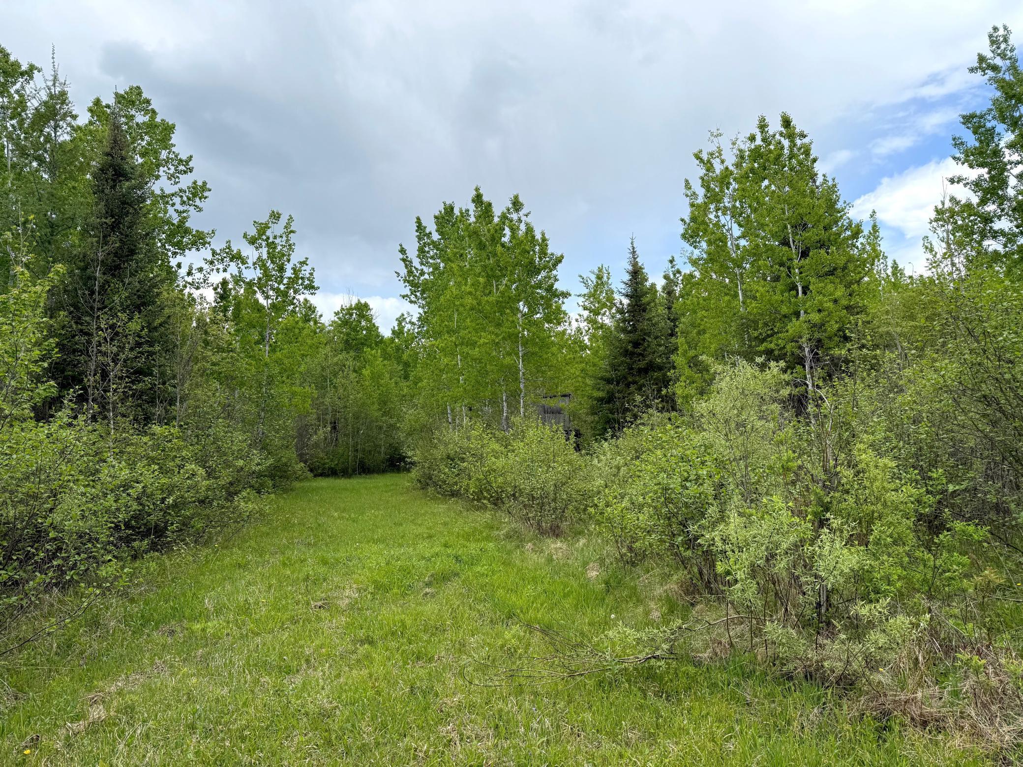 67241 State Hwy 65, Cook, Minnesota image 31
