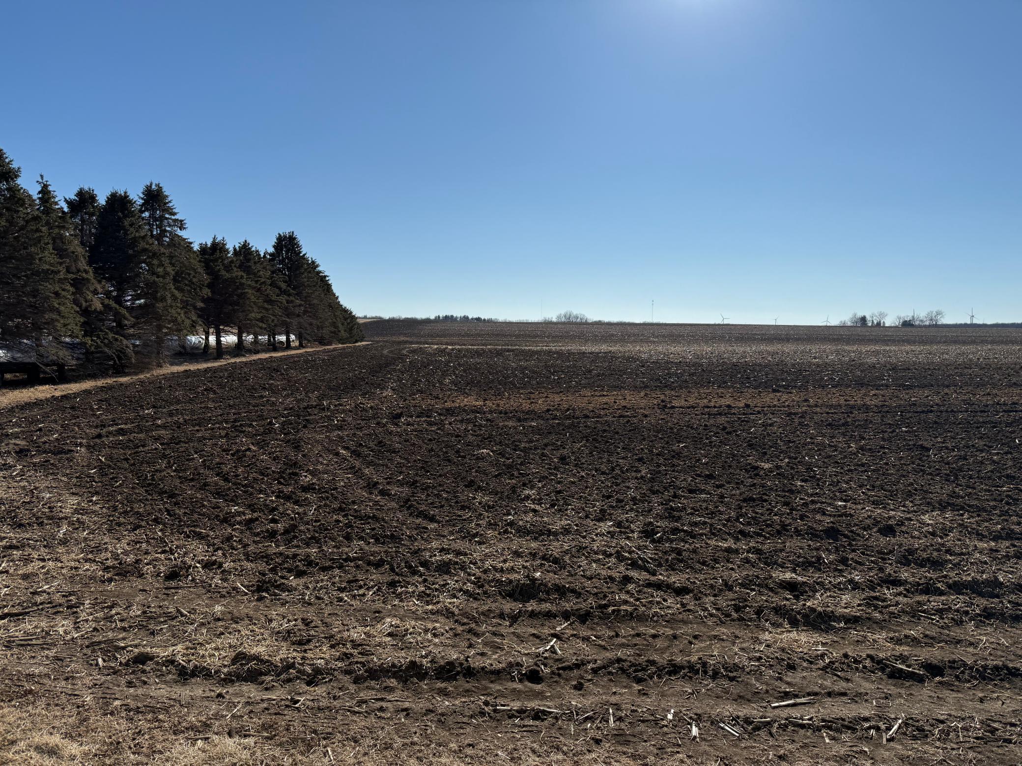 TBD 675th (tract 2) Avenue, Adams, Minnesota image 18