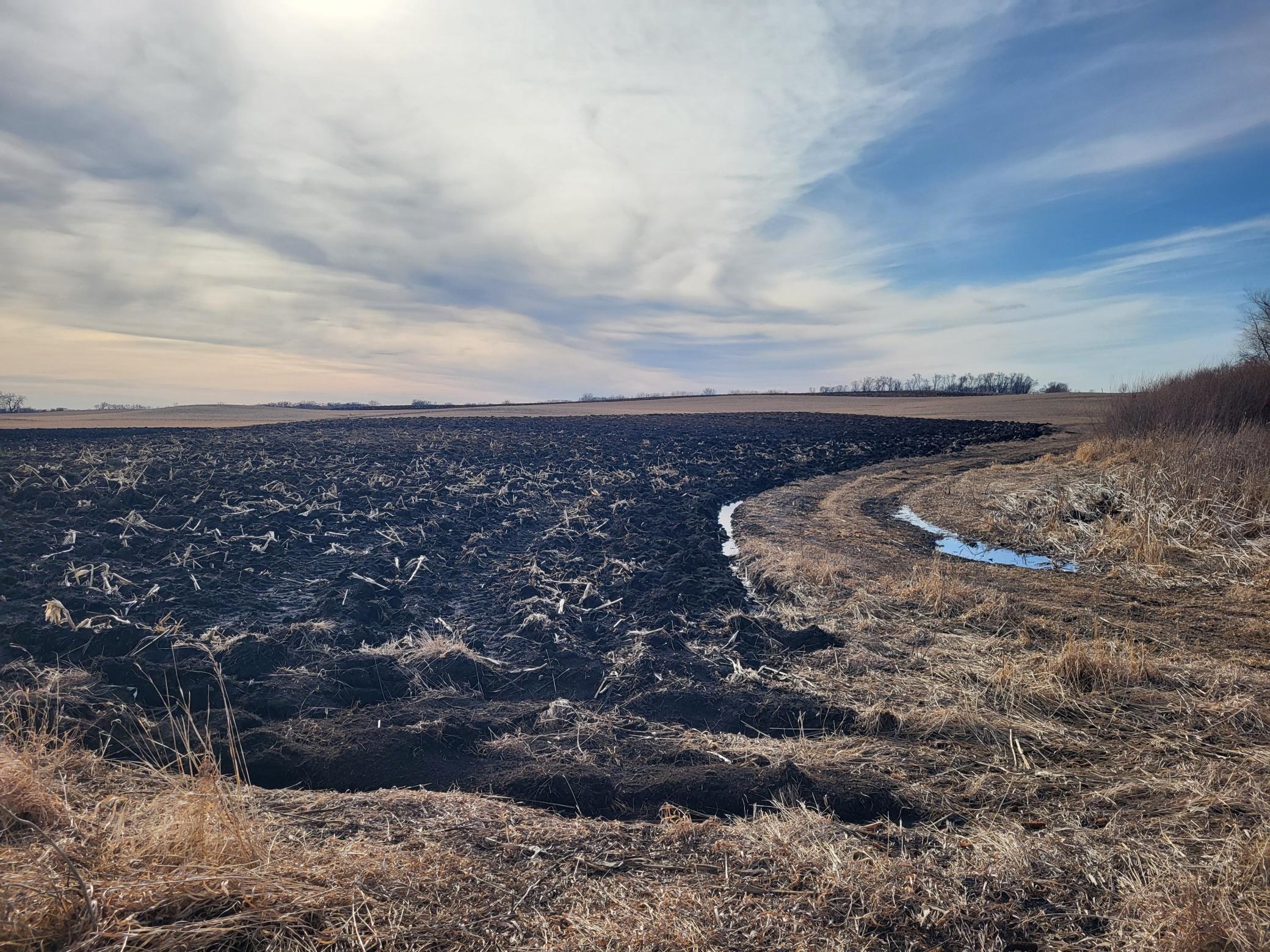80 Acres Svaboda Drive, Alexandria, Minnesota image 3