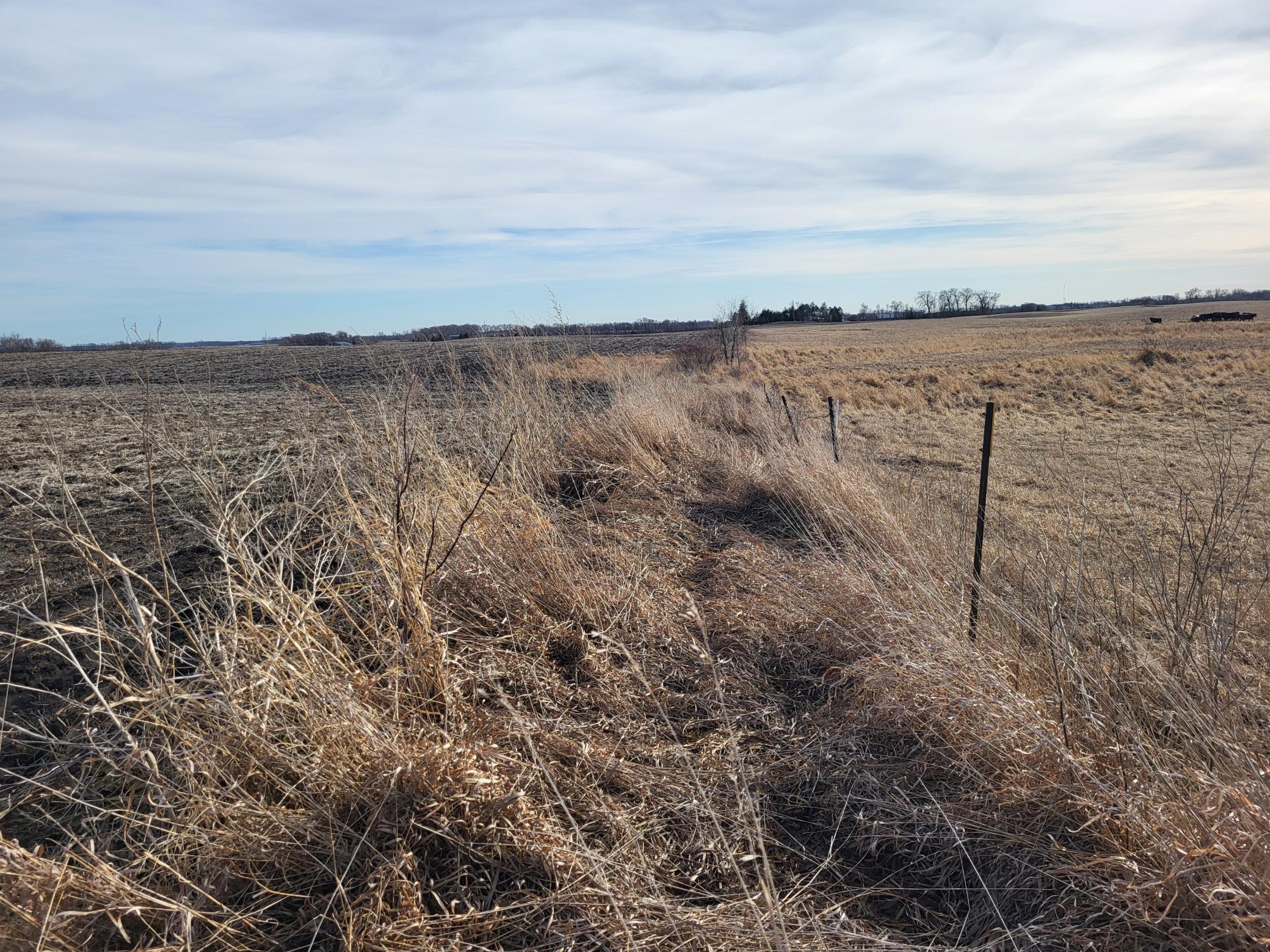 80 Acres Svaboda Drive, Alexandria, Minnesota image 10