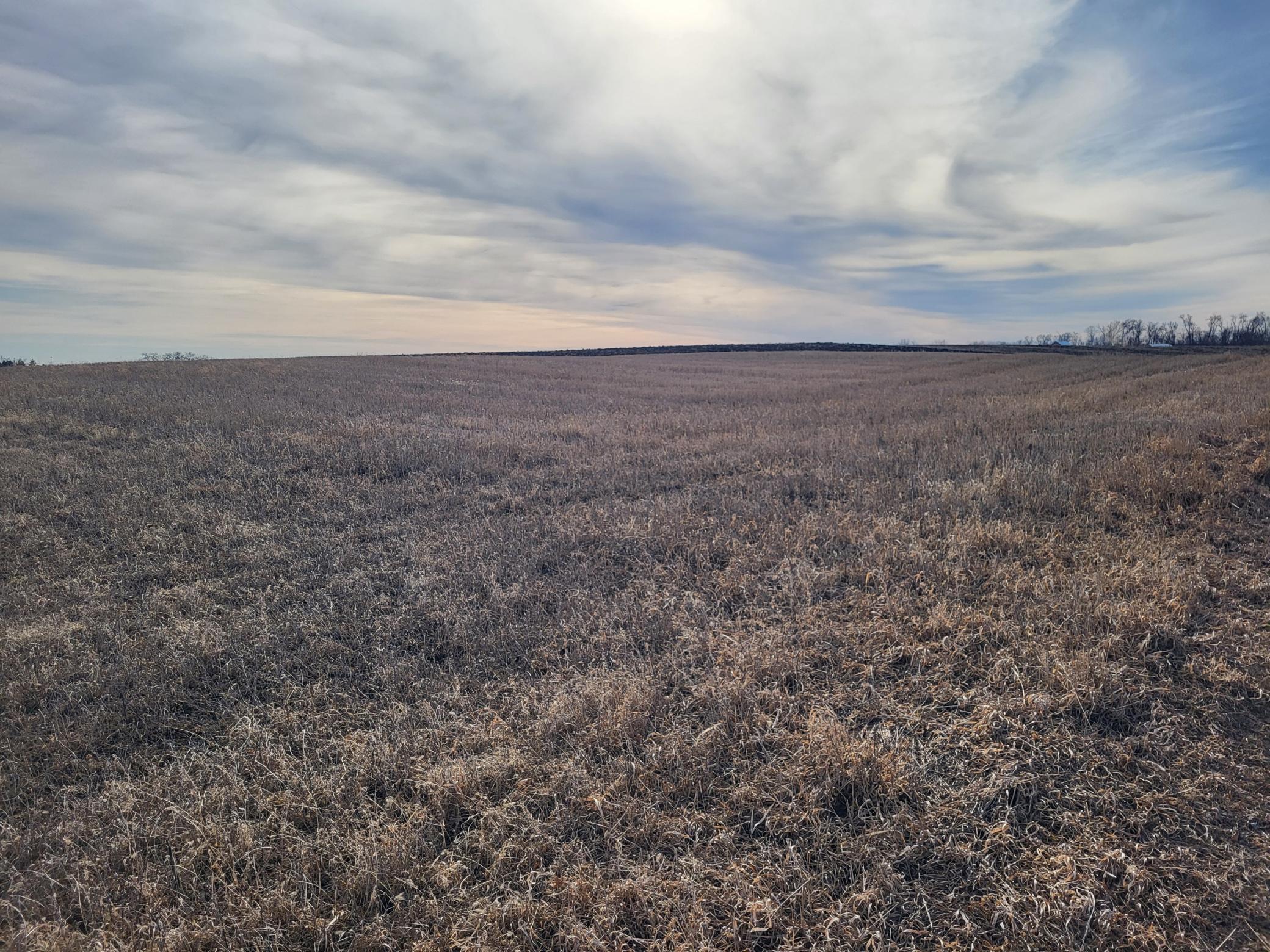 80 Acres Svaboda Drive, Alexandria, Minnesota image 6