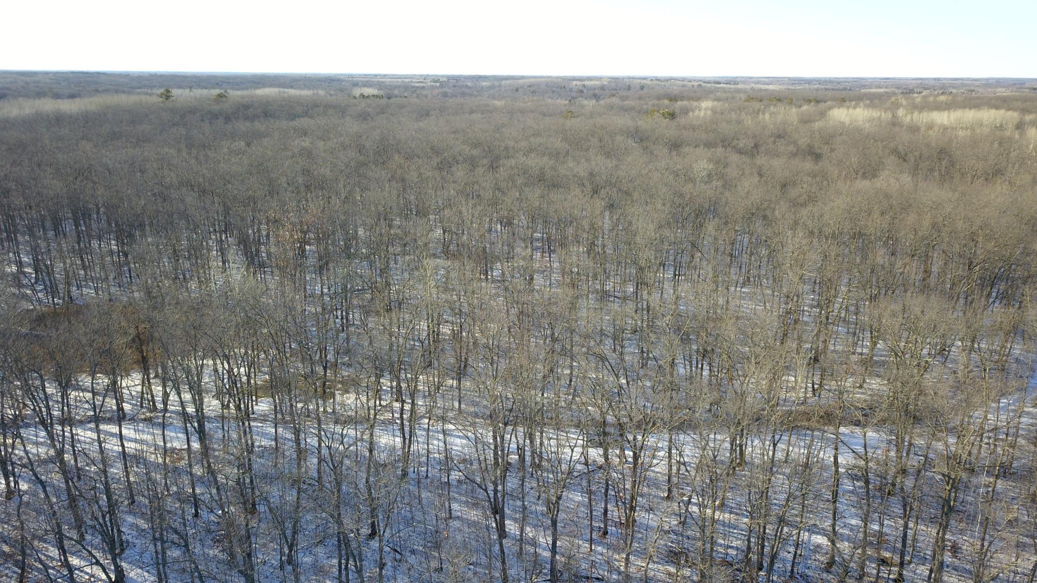XXX Red Oak Drive, Garrison, Minnesota image 34