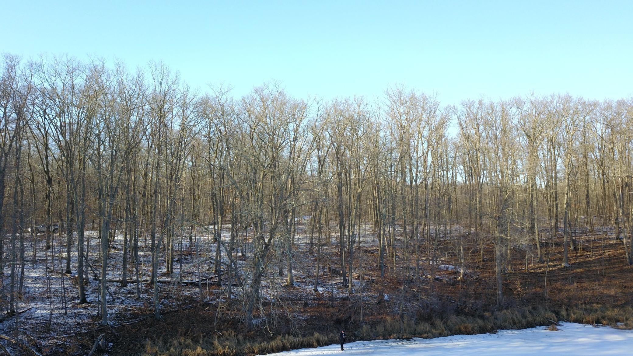 XXX Red Oak Drive, Garrison, Minnesota image 39