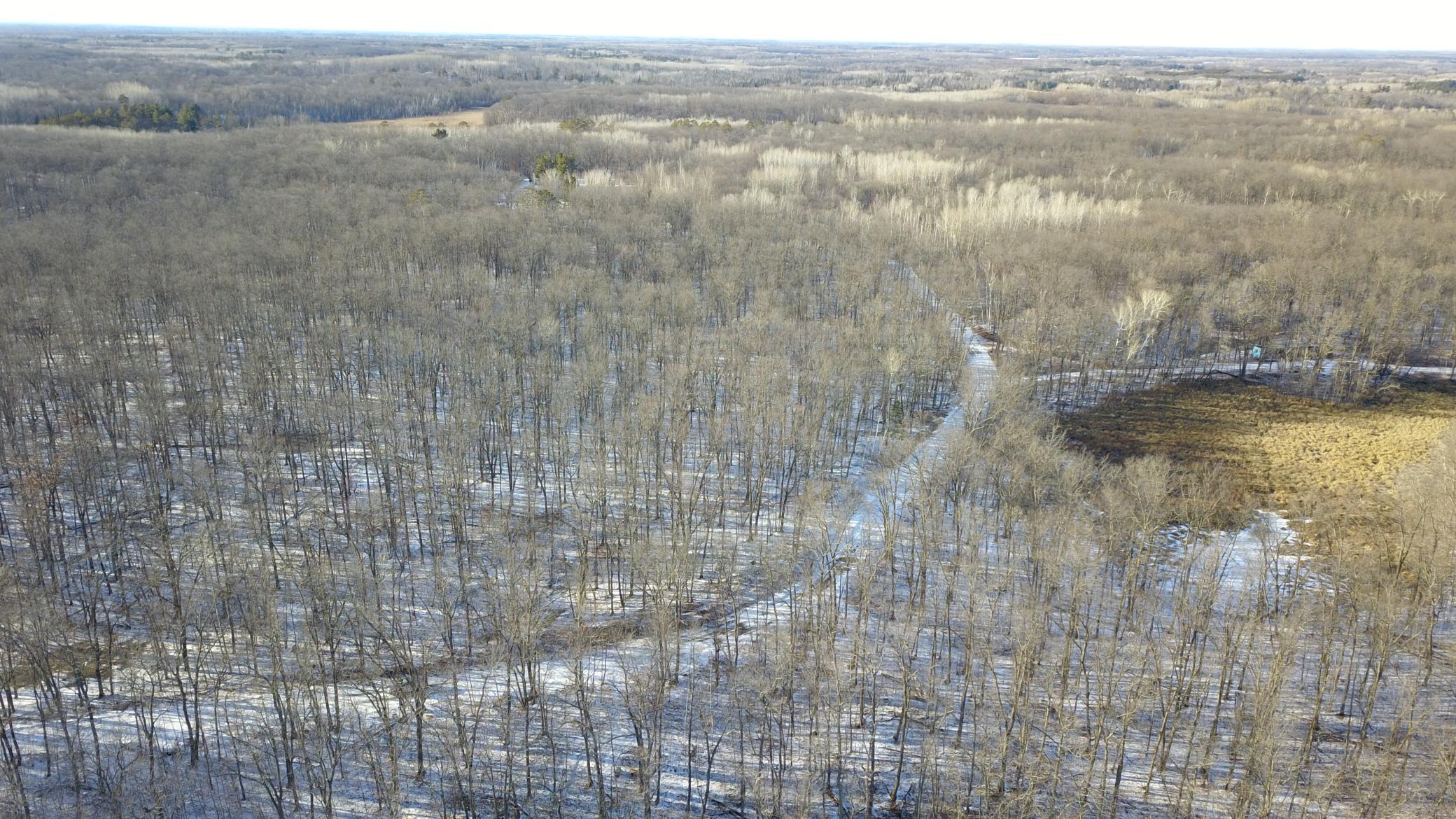 XXX Red Oak Drive, Garrison, Minnesota image 43