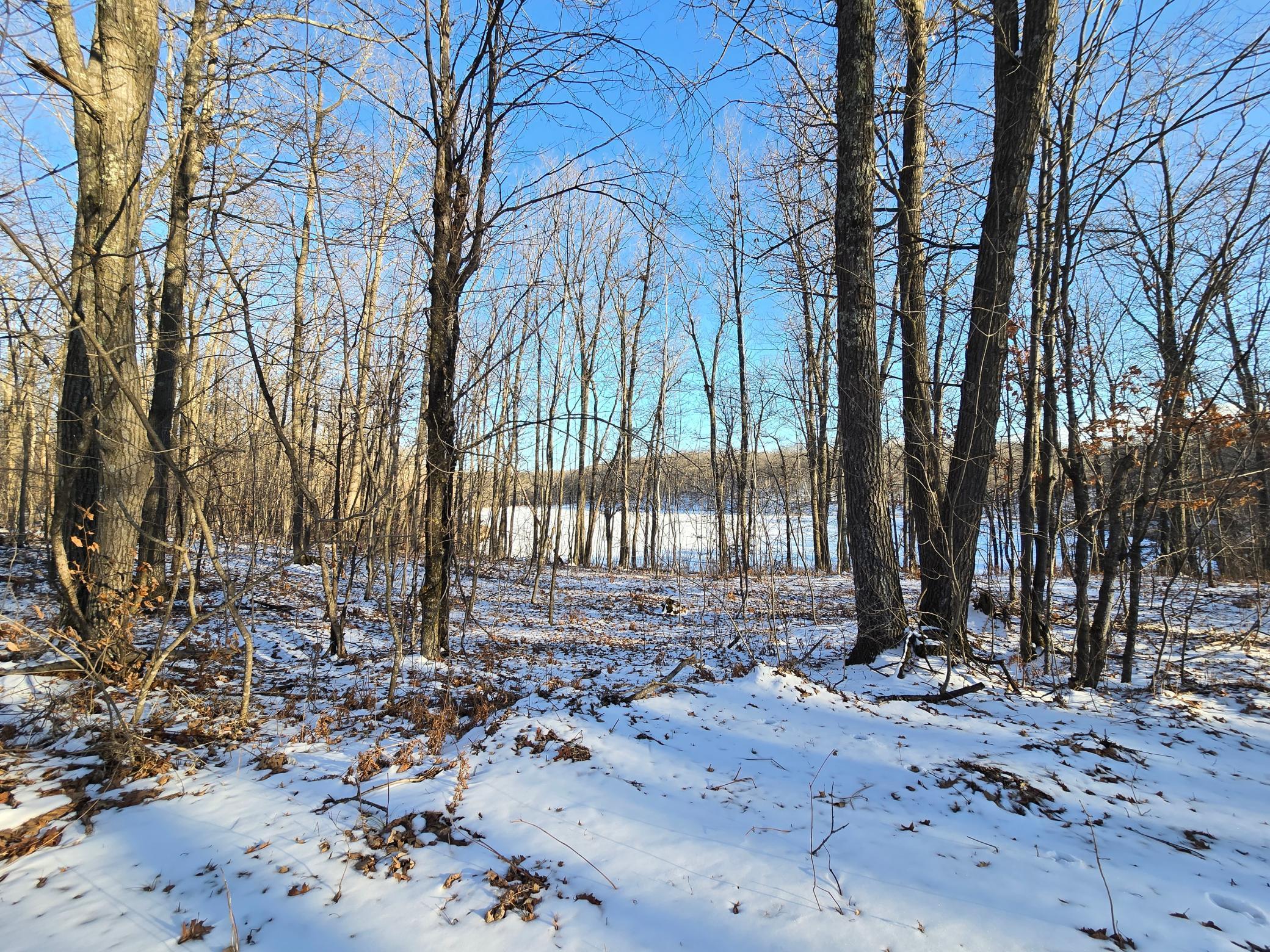 XXX Red Oak Drive, Garrison, Minnesota image 18