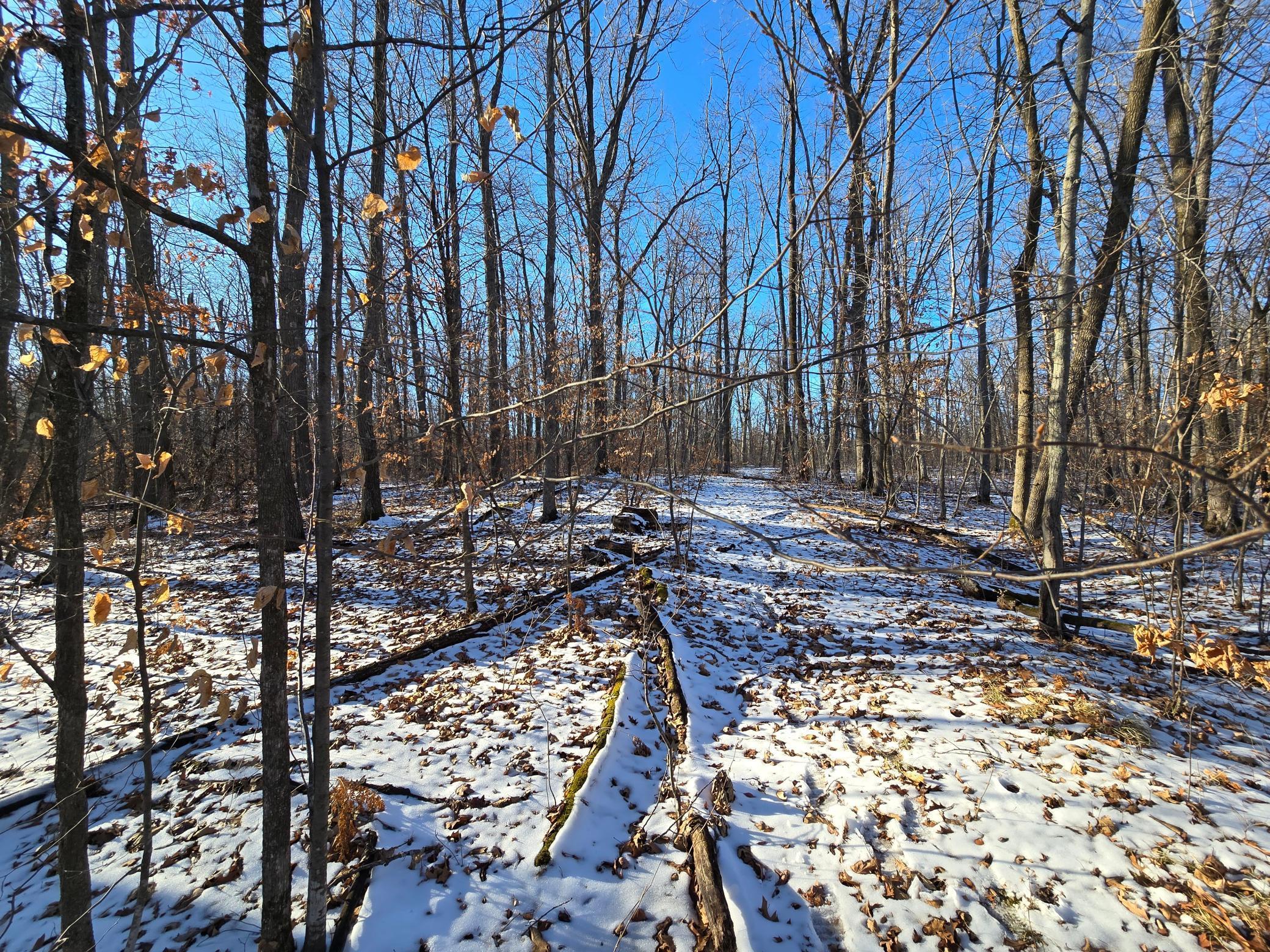 XXX Red Oak Drive, Garrison, Minnesota image 3