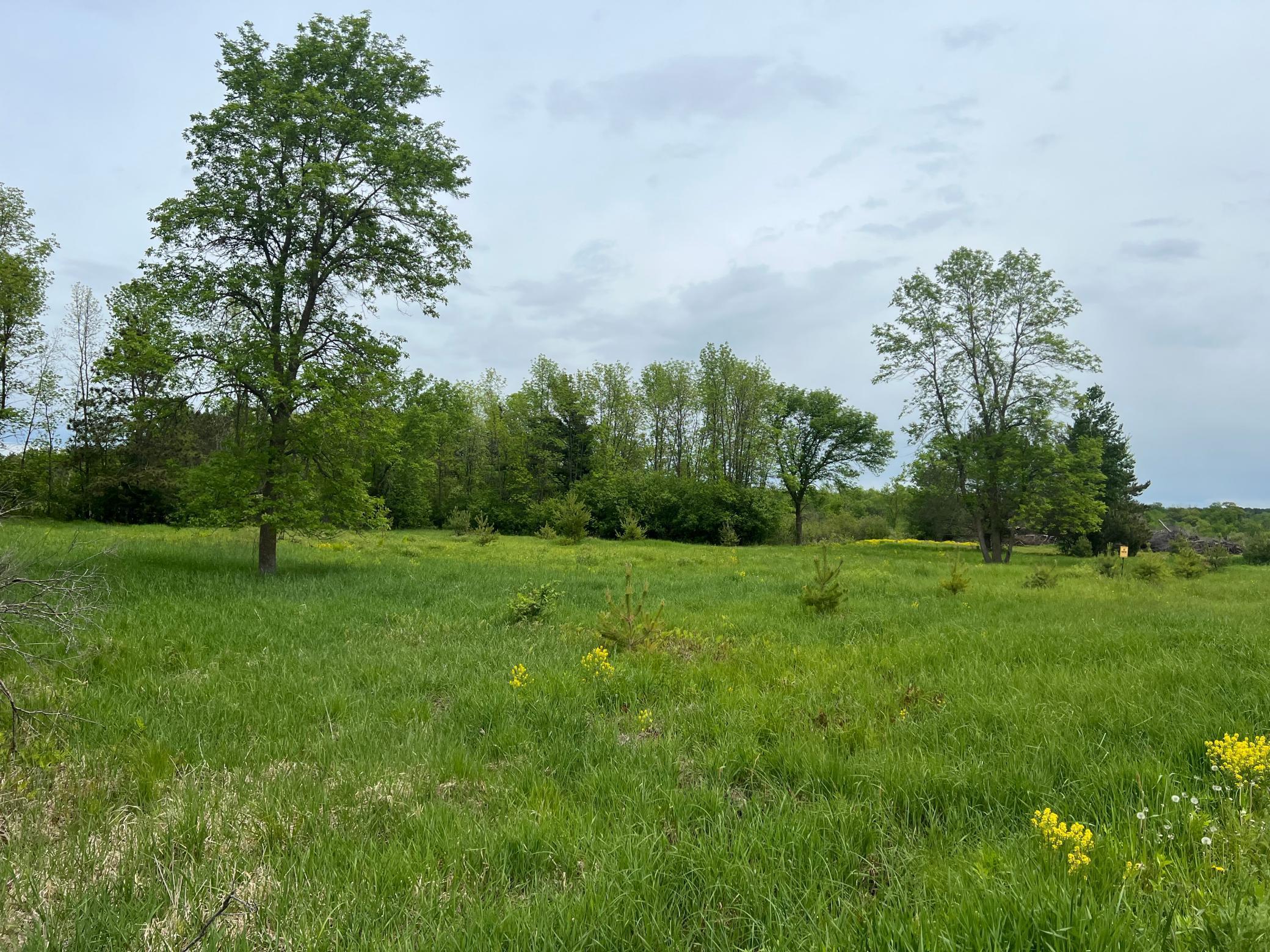 TBD Lake Avenue, Luck, Wisconsin image 6