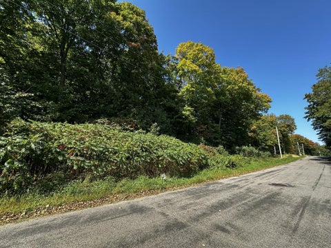 Vacant Land For Sale - LOTS 119 Earle Brown Drive<br/> Garrison, MN 56450