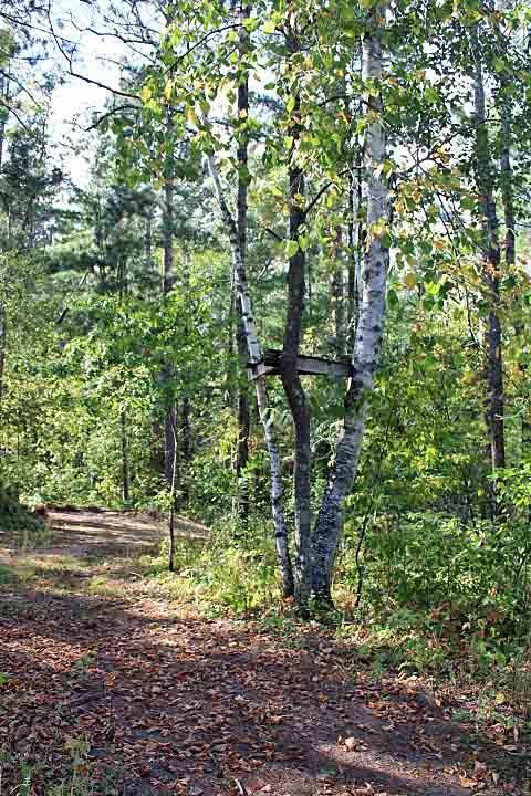 1562 72nd St Sw, Pequot Lakes, Minnesota image 17