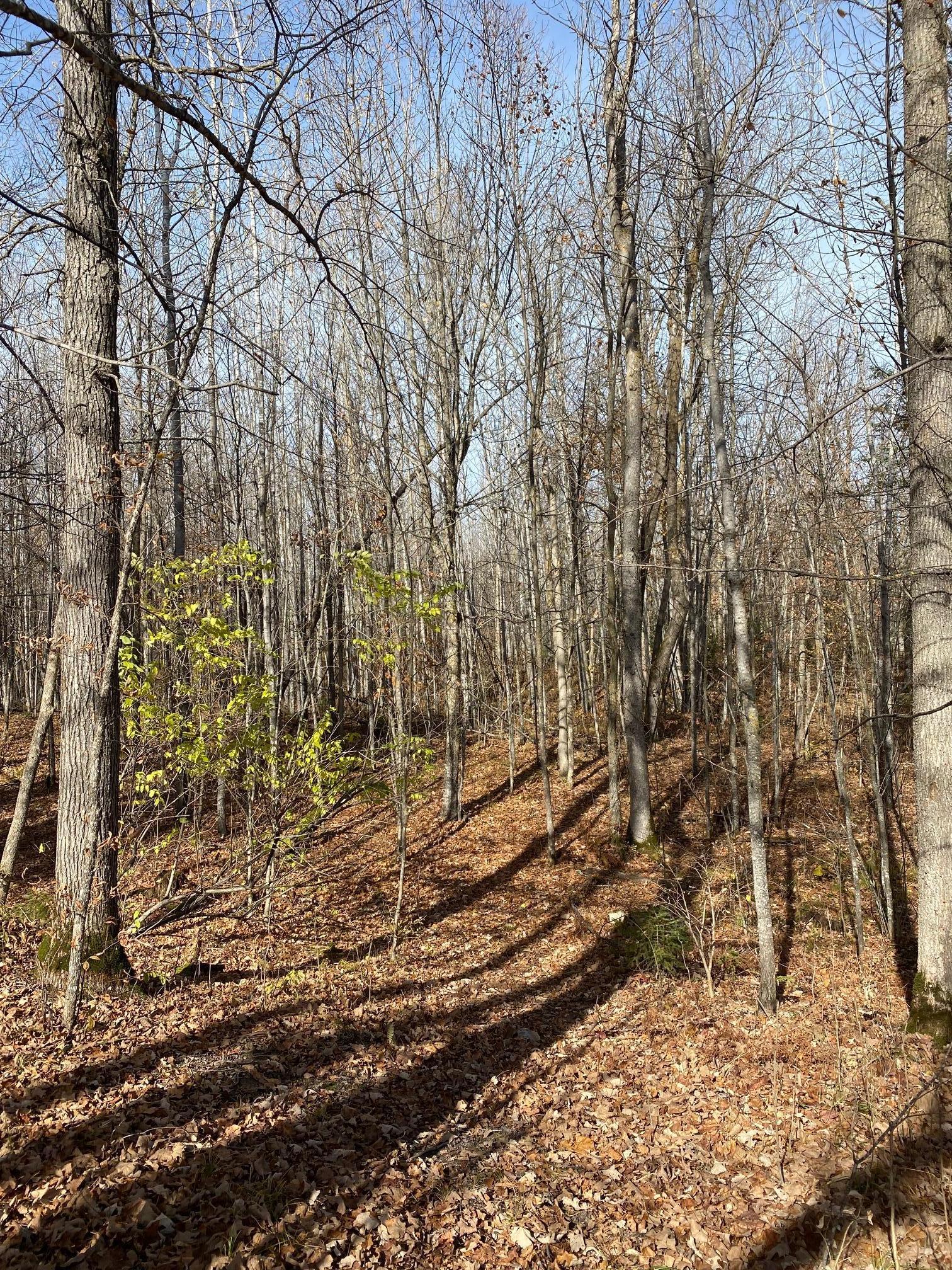 4331 Pincherry Road, Bemidji, Minnesota image 34