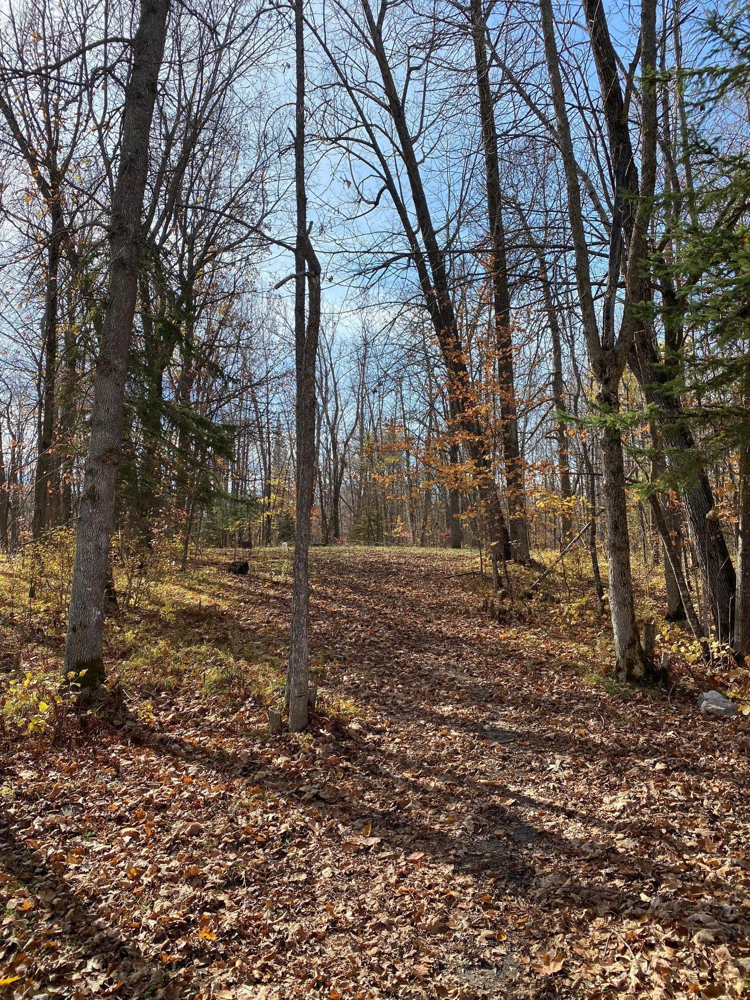 4331 Pincherry Road, Bemidji, Minnesota image 33
