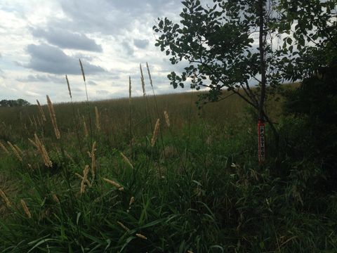 Vacant Land For Sale - XXXX 50th Street<br/> Lake Elmo, MN 55042