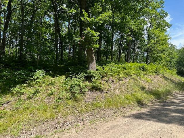 41988 251st Place, Mcgregor, Minnesota image 39