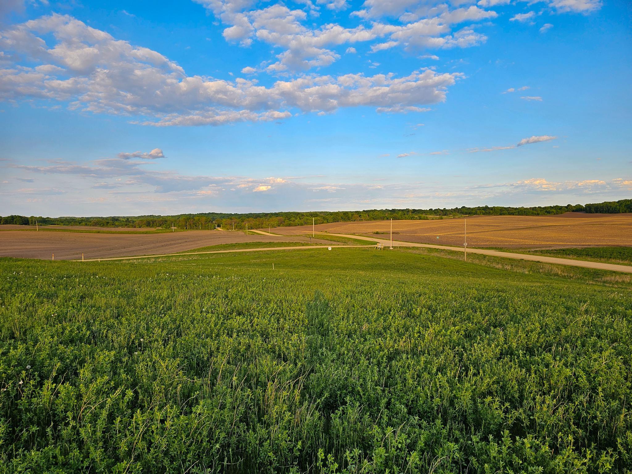 450XX 316th Ave [d], Vergas, Minnesota image 9
