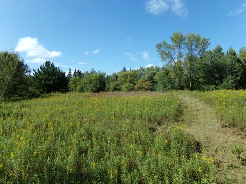 Vacant Land For Sale - 67XX Old Sawmill Road<br/> Harris, MN 55032