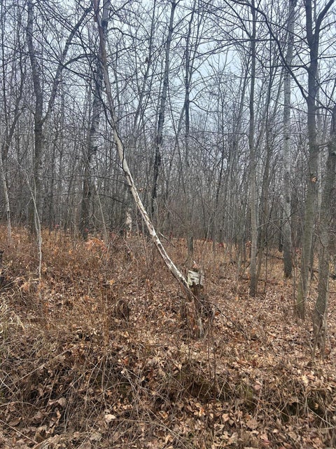 Vacant Land For Sale - TBDX Golf Course Dr<br/> Cushing, MN 56443