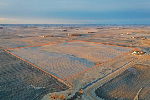 Vacant Land For Sale - 104 110th Avenue<br/> Martin County, Ceylon, MN 56121