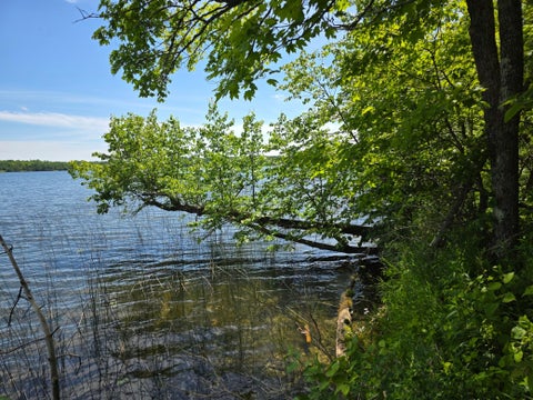 Vacant Land For Sale - TBD N Moose Lake Road<br/> Beltrami County, Pennington, MN 56663