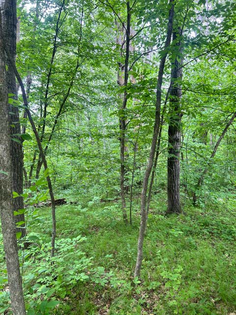 Vacant Land For Sale - TBDXXX Flintstone Road<br/> Morrison County, Cushing, MN 56443
