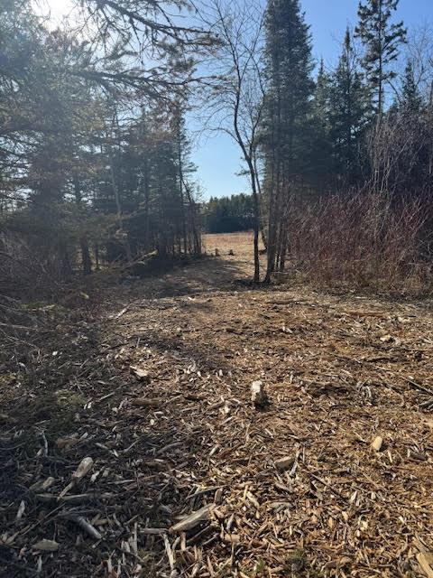 5797 N Shore Dr, Duluth, Mn 55804 Dr, Duluth, Minnesota image 6