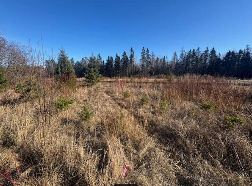 5797 N Shore Dr, Duluth, Mn 55804 Dr, Duluth, Minnesota image 8