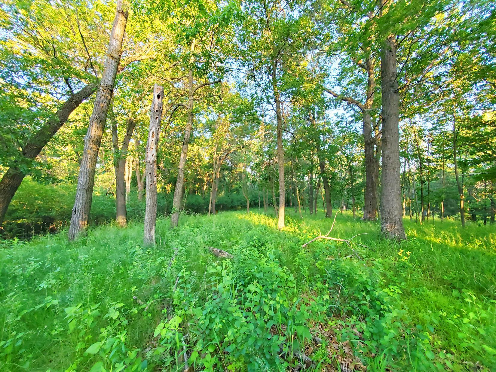 XXX Lot 3 Chestnut Street, Marine On Saint Croix, Minnesota image 1