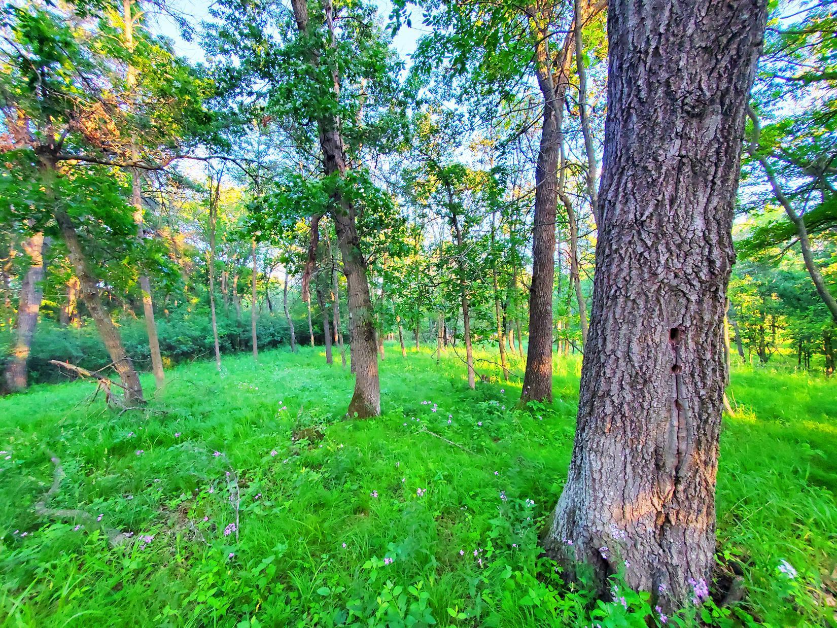 XXX Lot 3 Chestnut Street, Marine On Saint Croix, Minnesota image 2