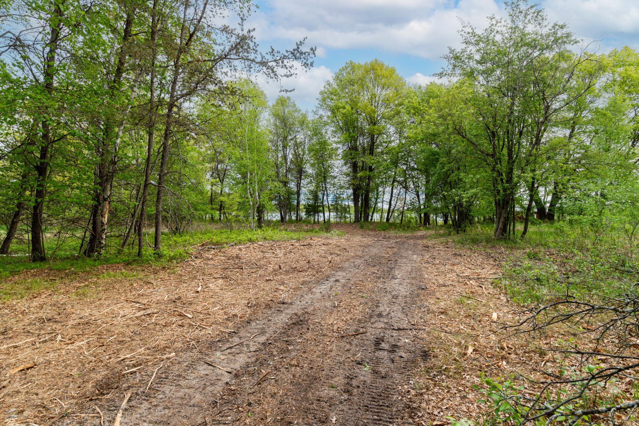 TBD Sorenson Lake Road, Merrifield, Minnesota image 11