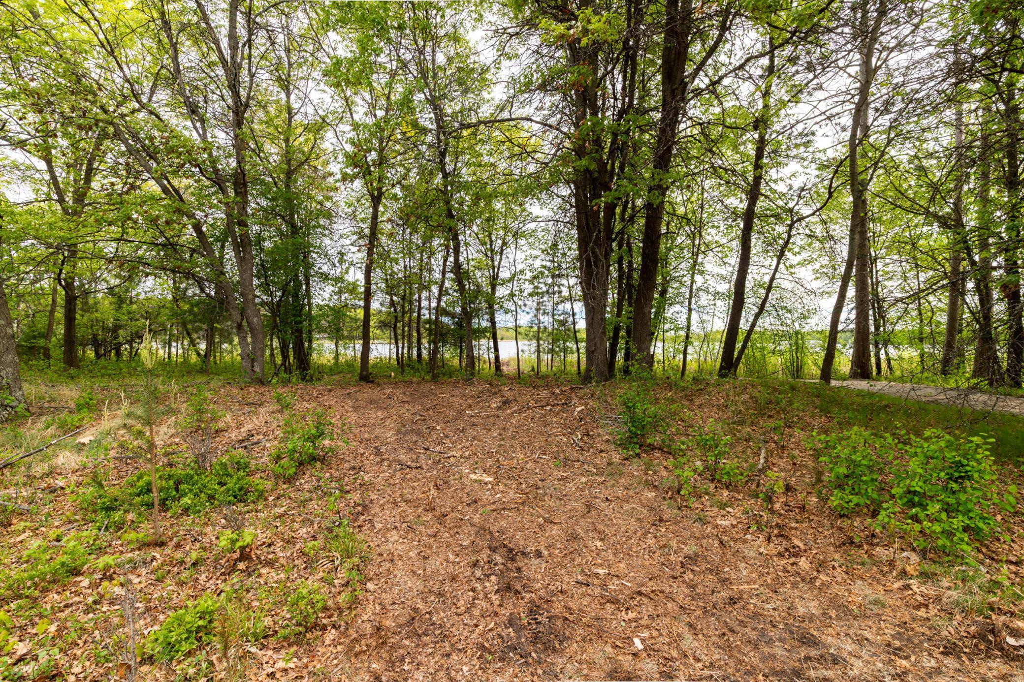 TBD Sorenson Lake Road, Merrifield, Minnesota image 10