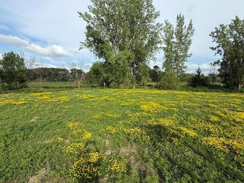 Vacant Land For Sale - 26351 Preserve Drive<br/> Scott County, Elko New Market, MN 55054