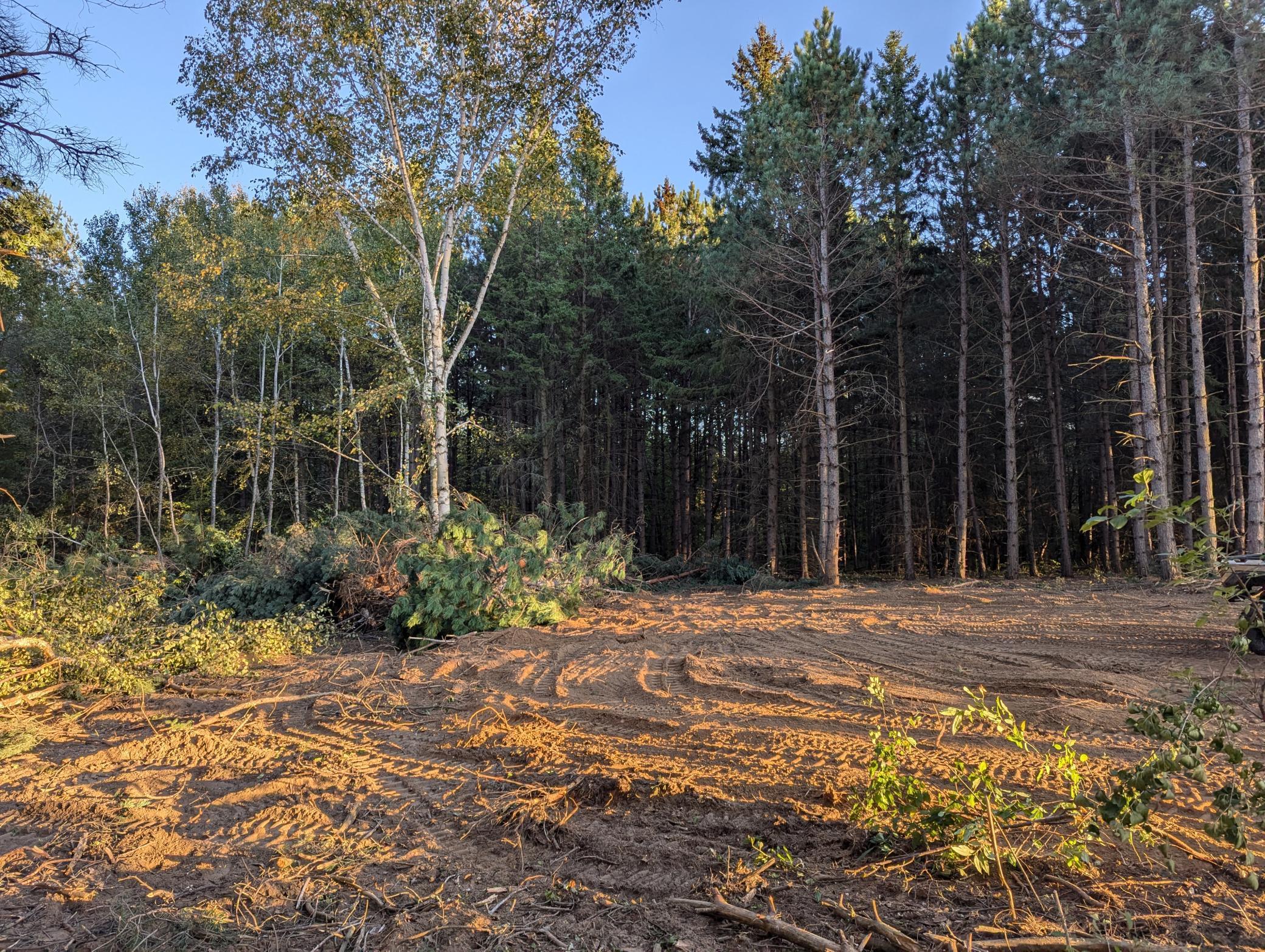 960x 285th Avenue, North Branch, Minnesota image 8