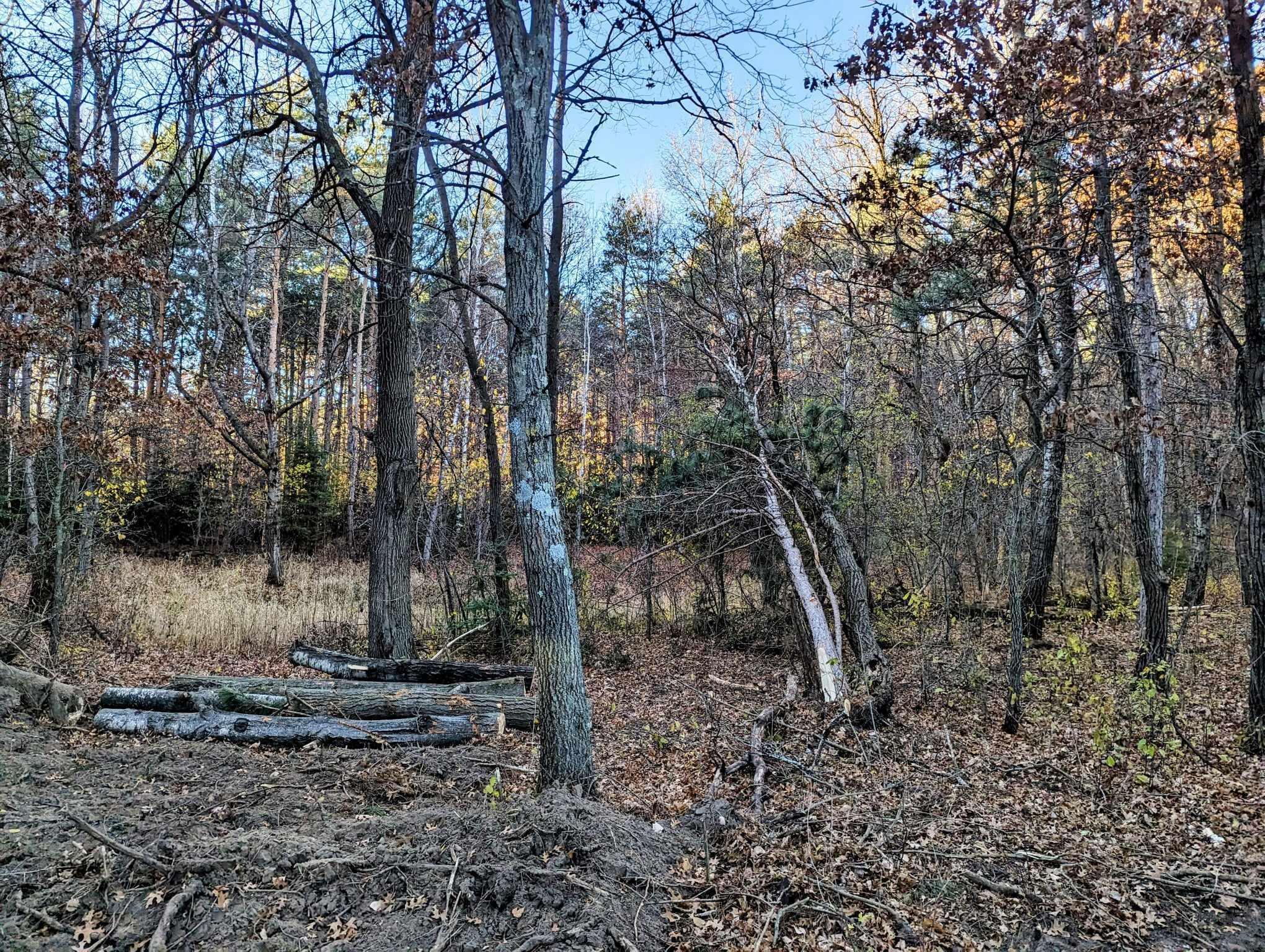 960x 285th Avenue, North Branch, Minnesota image 14