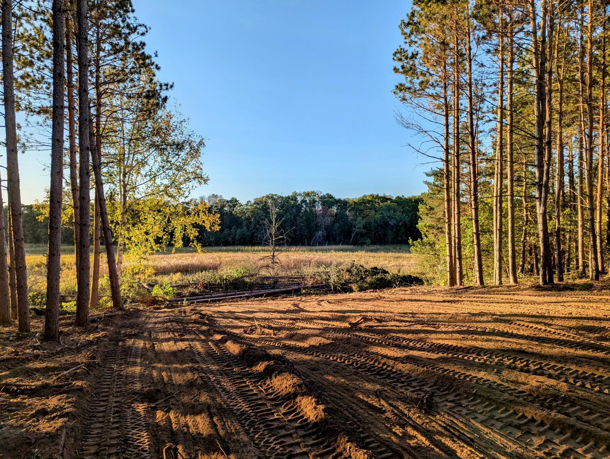 960x 285th Avenue, North Branch, Minnesota image 9